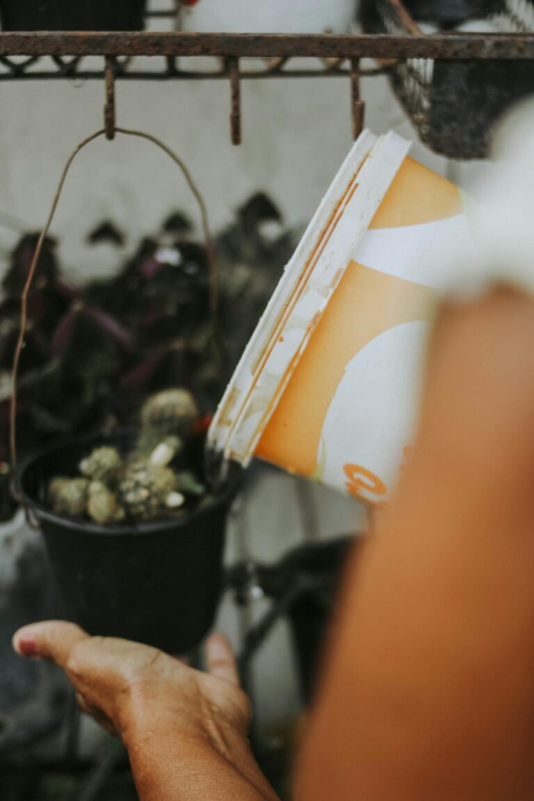 Close-up of a person watering plants in a garden using a bucket, highlighting sustainable gardening practices.